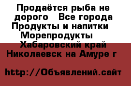 Продаётся рыба не дорого - Все города Продукты и напитки » Морепродукты   . Хабаровский край,Николаевск-на-Амуре г.